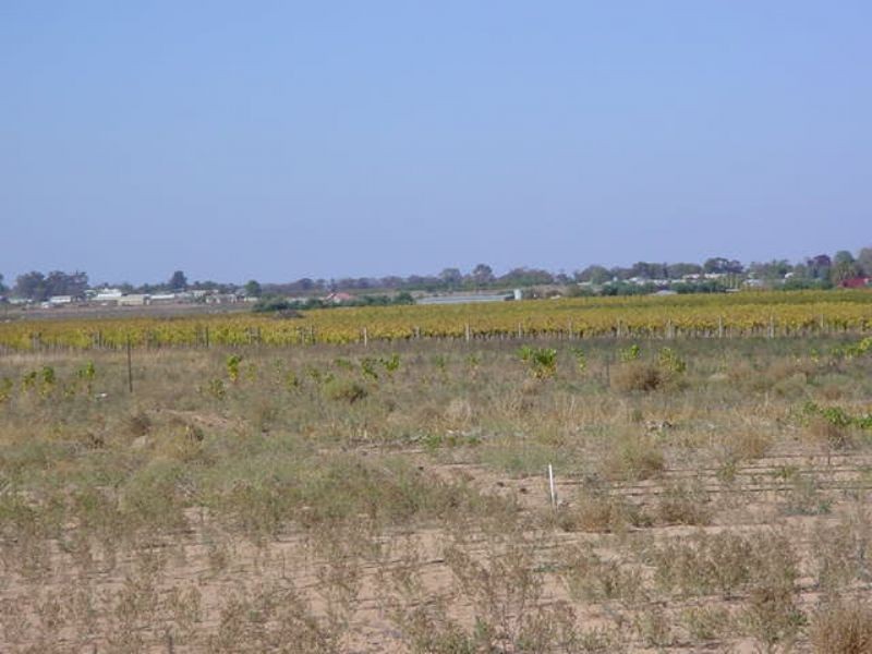 Lot 2 941 Paschendale Ave, Merbein South VIC 3505
