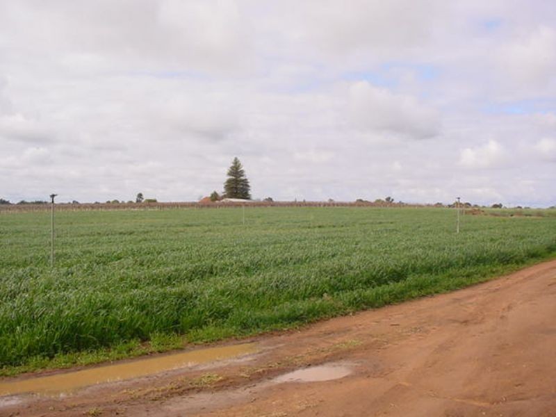 1022 Benetook Avenue, Mildura VIC 3500