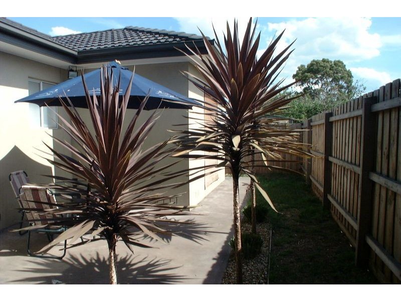 2/47 Maude Avenue, Glenroy VIC 3046