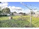 56 Lahinch Street, Broadmeadows VIC 3047