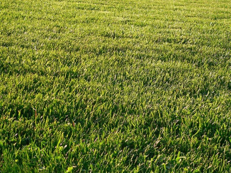 2/319 Gaffney Street, Pascoe Vale VIC 3044