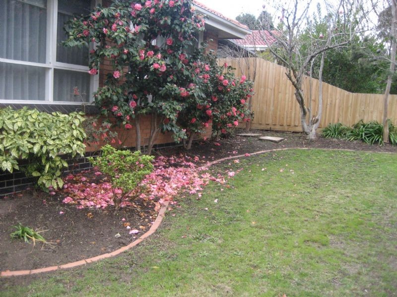 21 Thea Grove, Doncaster East VIC 3109