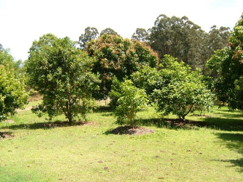 112 COMMISSIONERS FLAT RD, Peachester QLD 4519