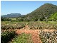 Beerwah QLD 4519