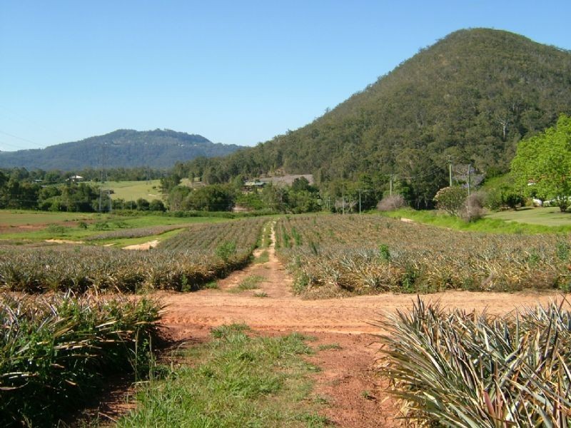 Beerwah QLD 4519