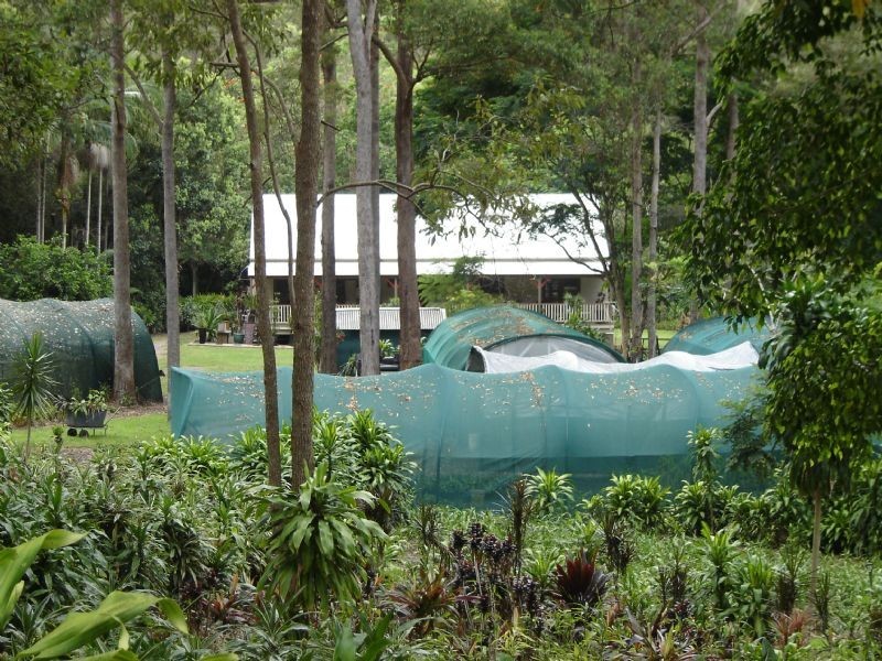Landsborough QLD 4550