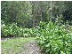Landsborough QLD 4550