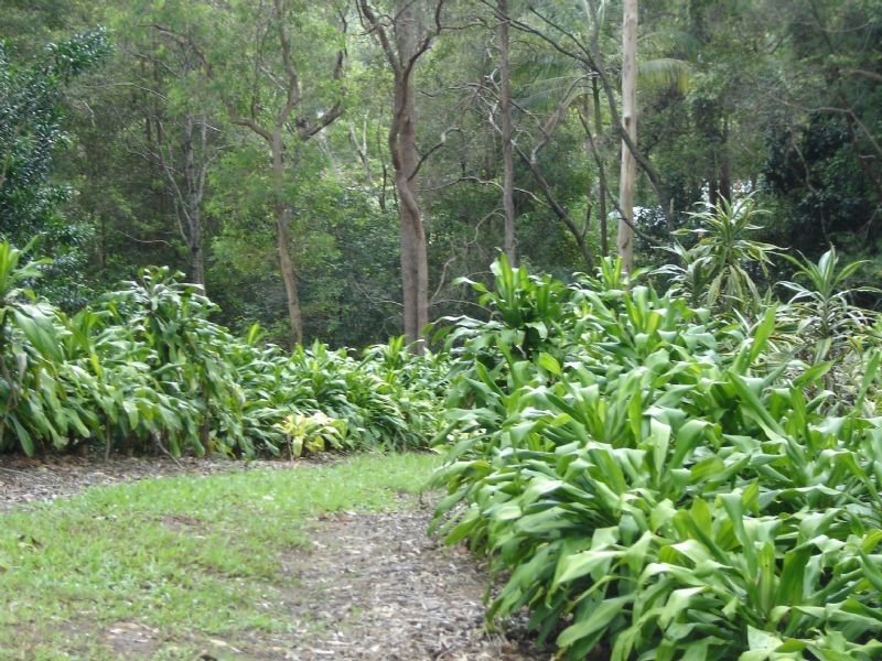 Landsborough QLD 4550