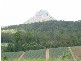 Beerwah QLD 4519