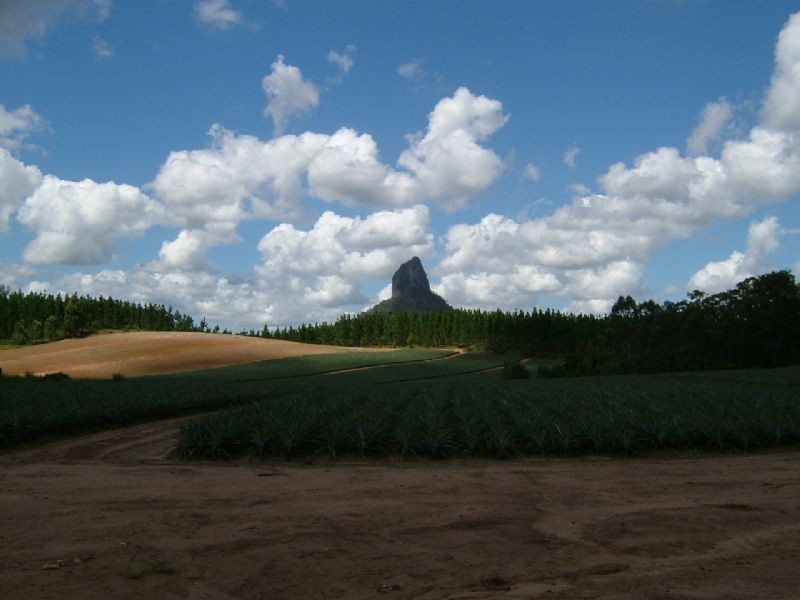 Beerwah QLD 4519