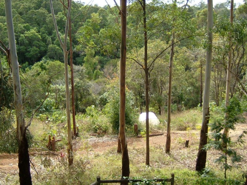 Landsborough QLD 4550