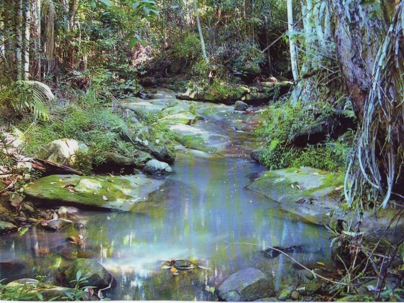 Landsborough QLD 4550
