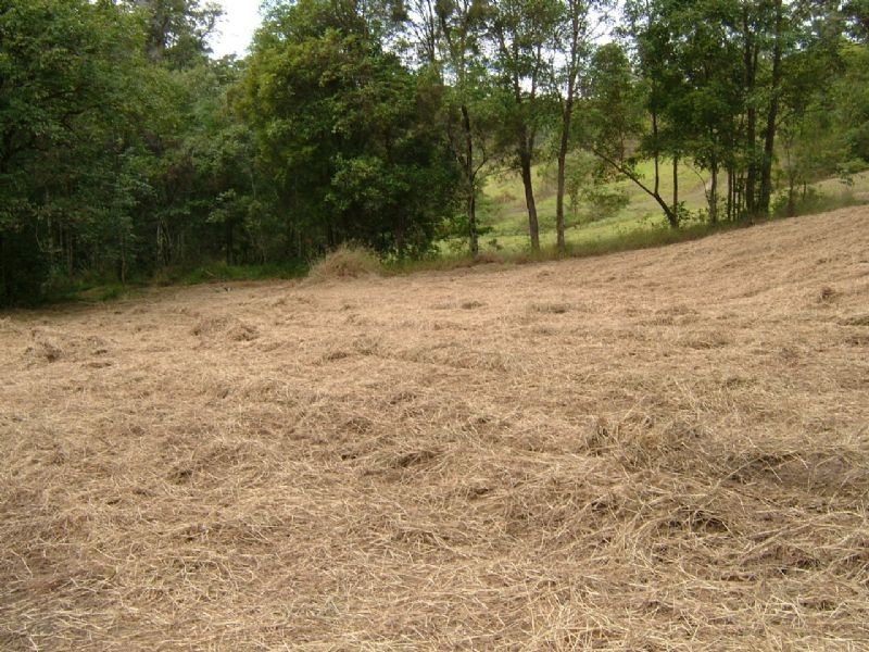 Landsborough QLD 4550