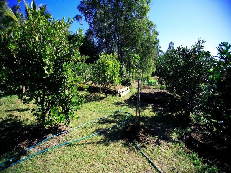 Glass House Mountains QLD 4518