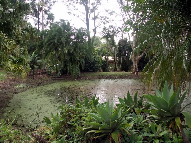 Landsborough QLD 4550