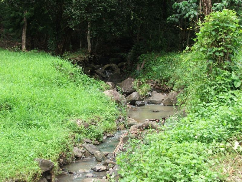 Diamond Valley QLD 4553