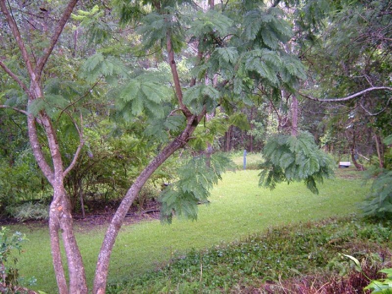 54 myla, Landsborough QLD 4550