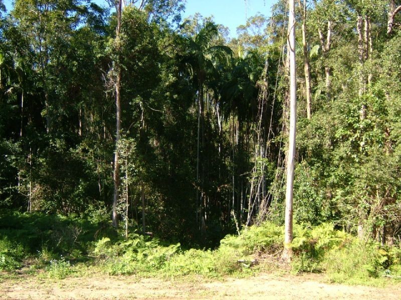 Mooloolah Valley QLD 4553