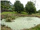 Landsborough QLD 4550