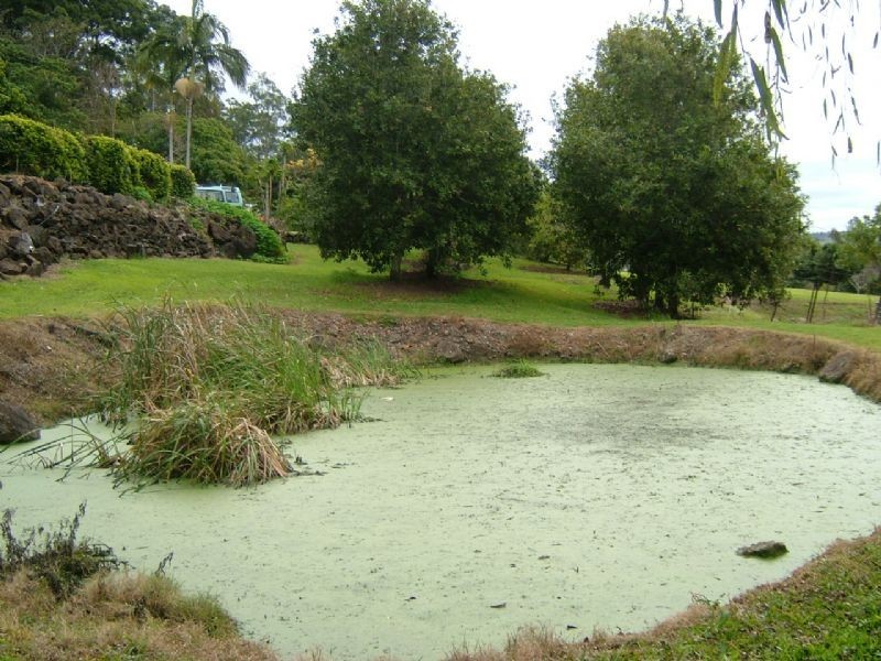 Landsborough QLD 4550