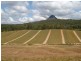 Beerwah QLD 4519
