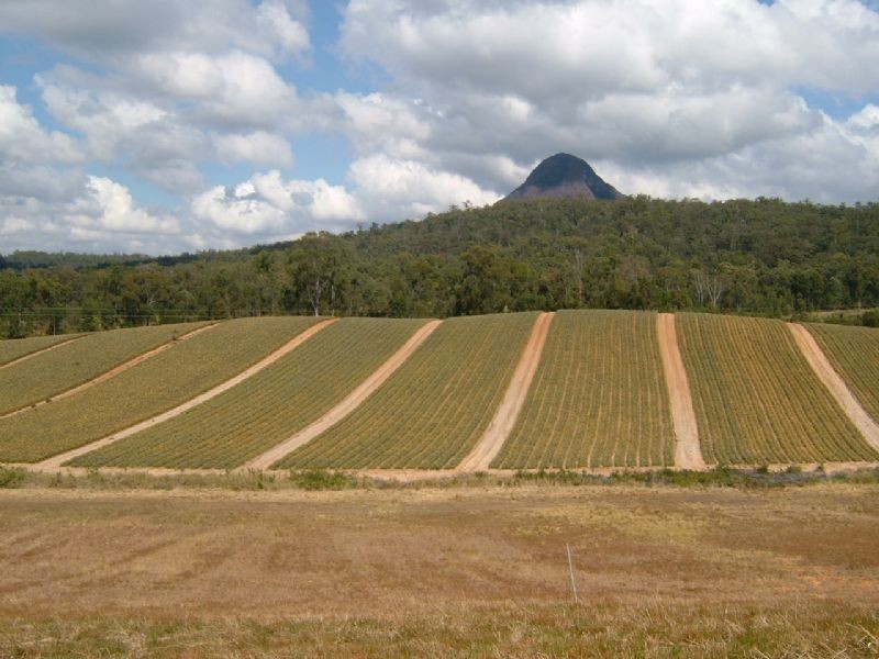 Beerwah QLD 4519