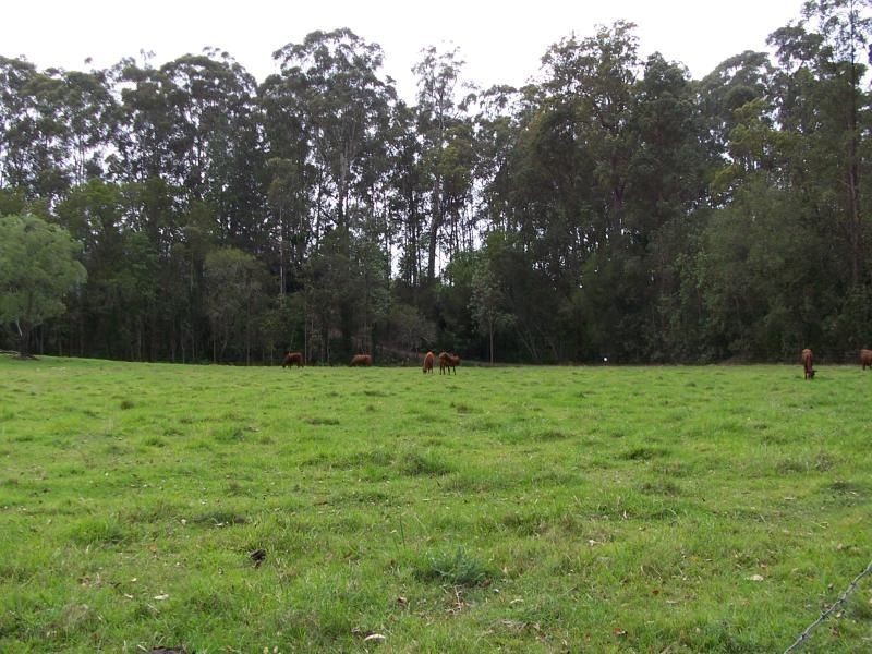 Beerwah QLD 4519