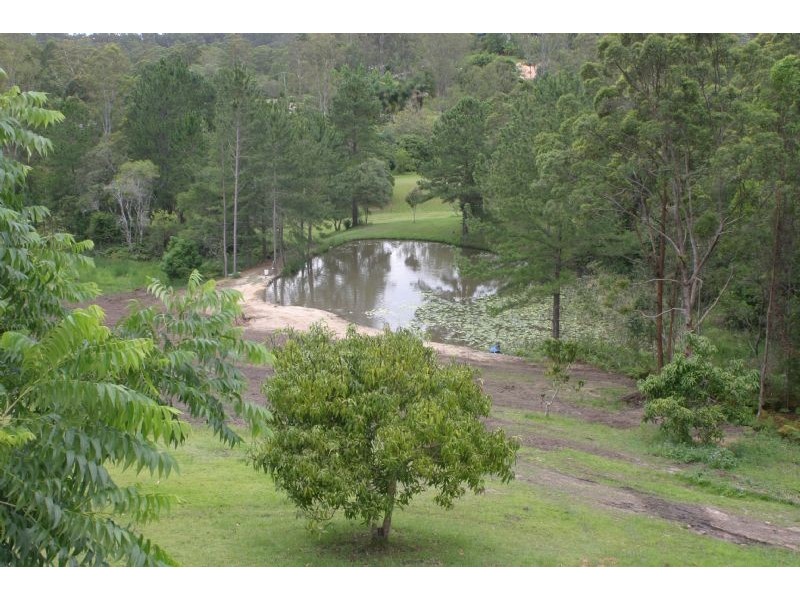Mooloolah Valley QLD 4553