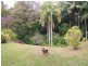 4 Illing Court, Landsborough QLD 4550