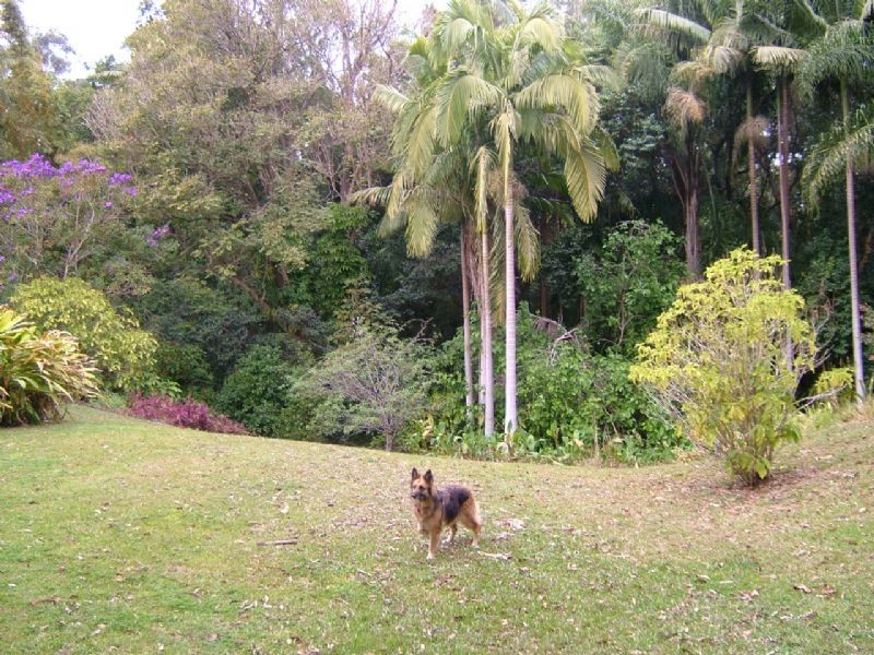 4 Illing Court, Landsborough QLD 4550