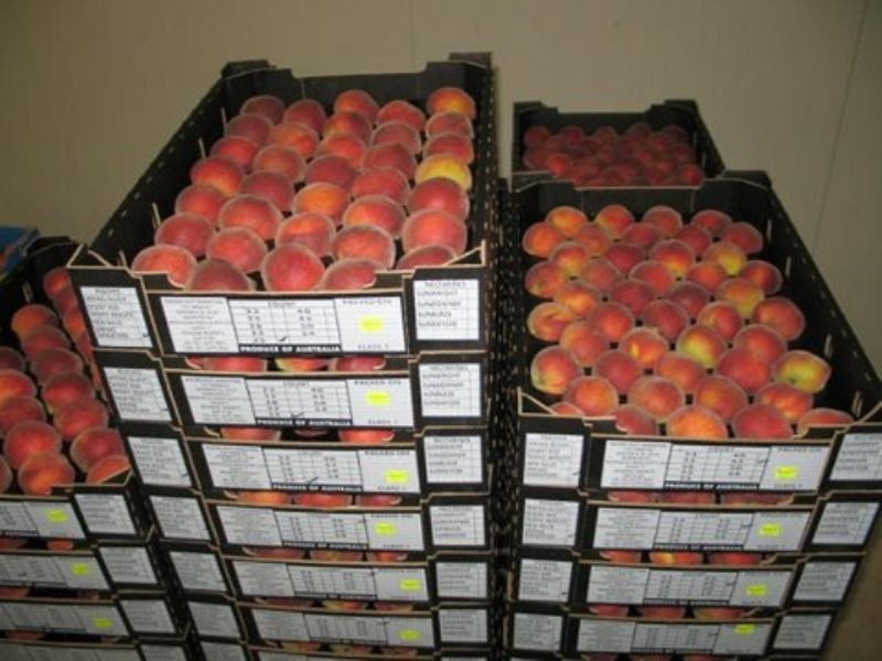 Glass House Mountains QLD 4518