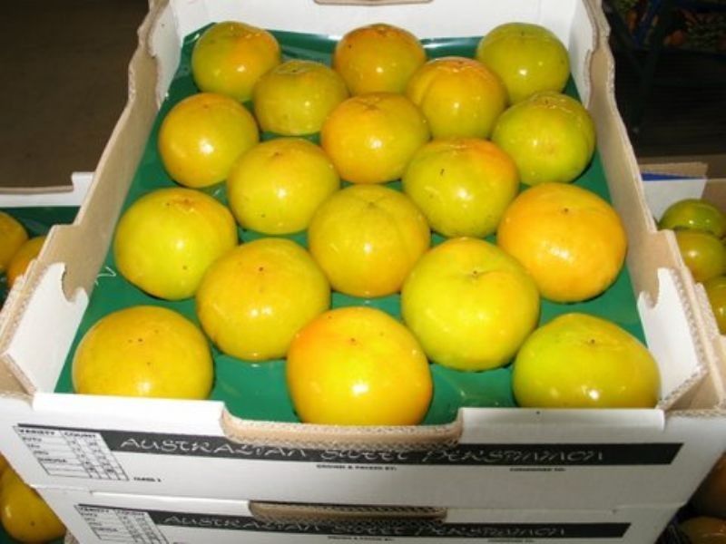 Glass House Mountains QLD 4518