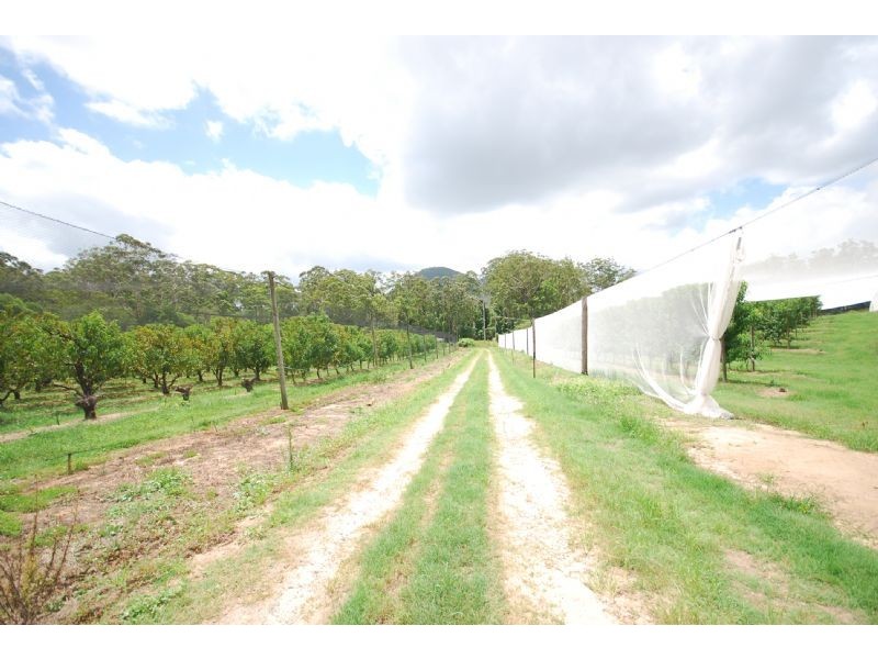 Glass House Mountains QLD 4518