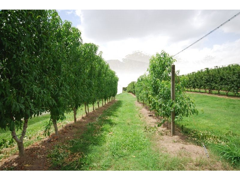 Glass House Mountains QLD 4518