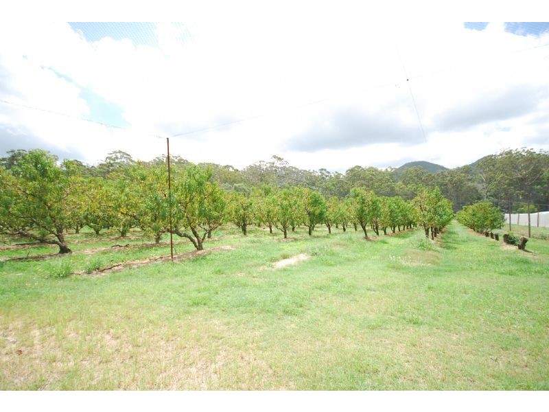 Glass House Mountains QLD 4518