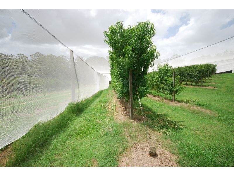 Glass House Mountains QLD 4518