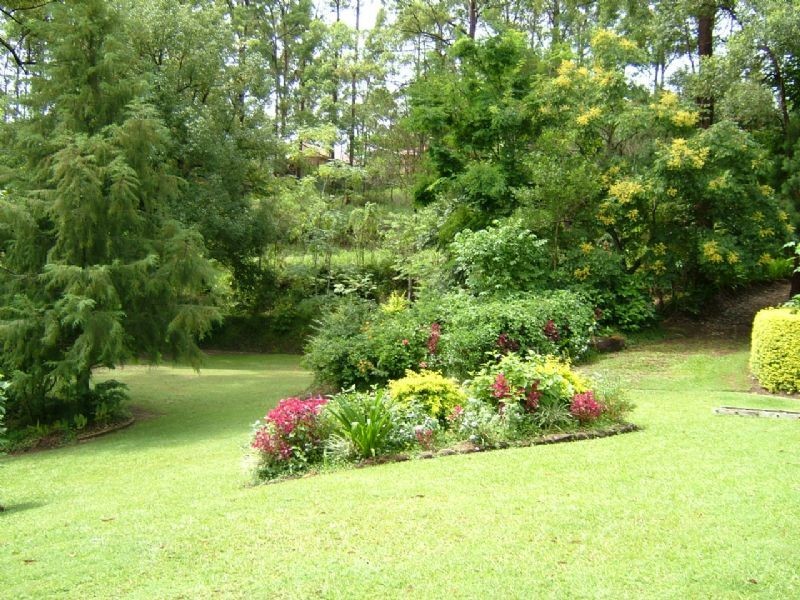 Mooloolah Valley QLD 4553