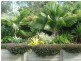 Mooloolah Valley QLD 4553