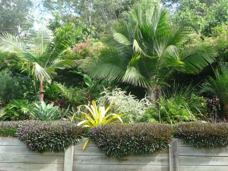 Mooloolah Valley QLD 4553