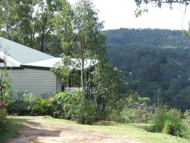 Mooloolah Valley QLD 4553