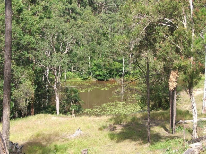 Mooloolah Valley QLD 4553