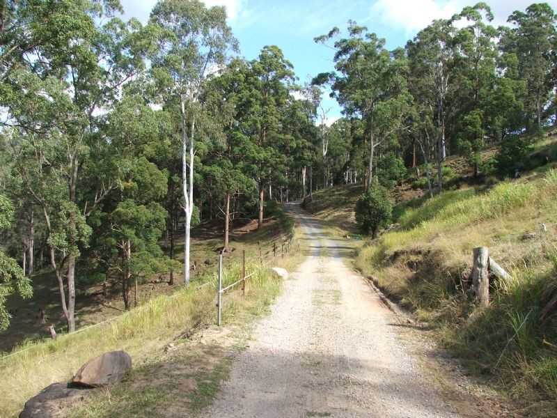 Mooloolah Valley QLD 4553