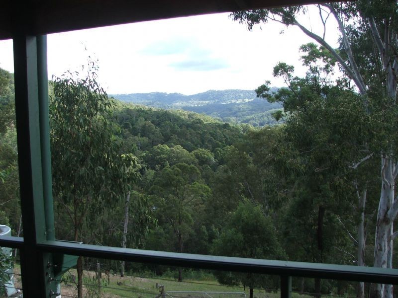 Mooloolah Valley QLD 4553