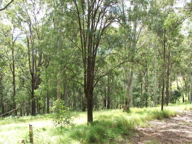 Mooloolah Valley QLD 4553