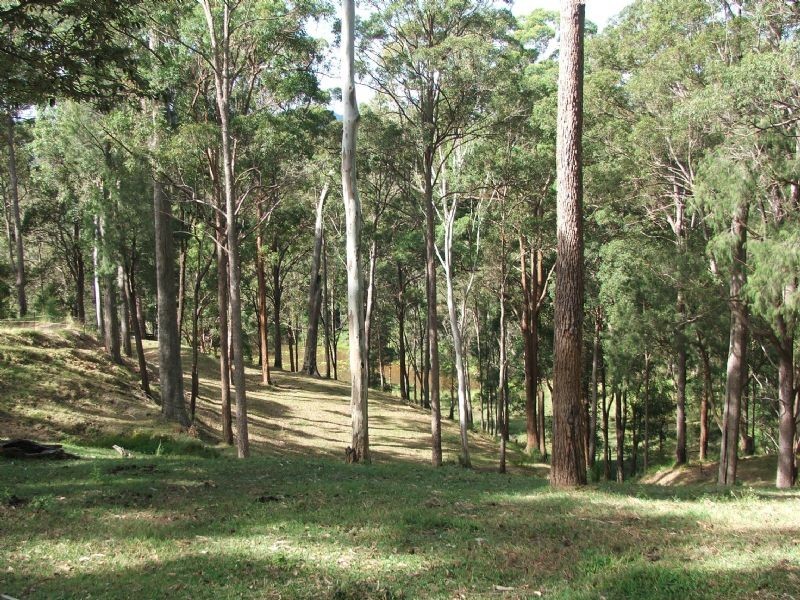 Mooloolah Valley QLD 4553