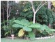 Landsborough QLD 4550