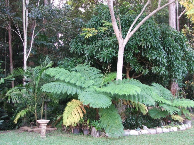 Landsborough QLD 4550