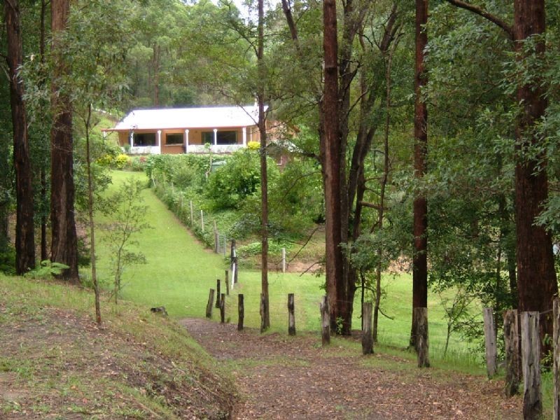 Mooloolah Valley QLD 4553