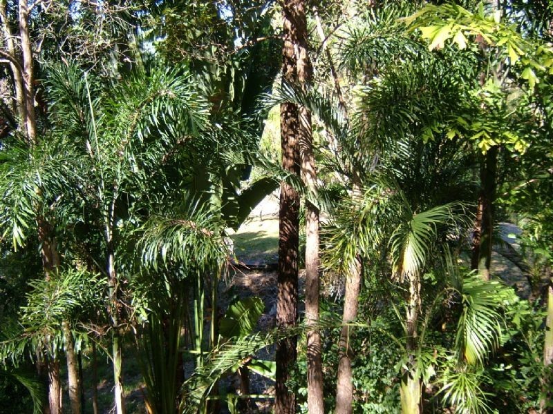 Landsborough QLD 4550