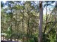Landsborough QLD 4550